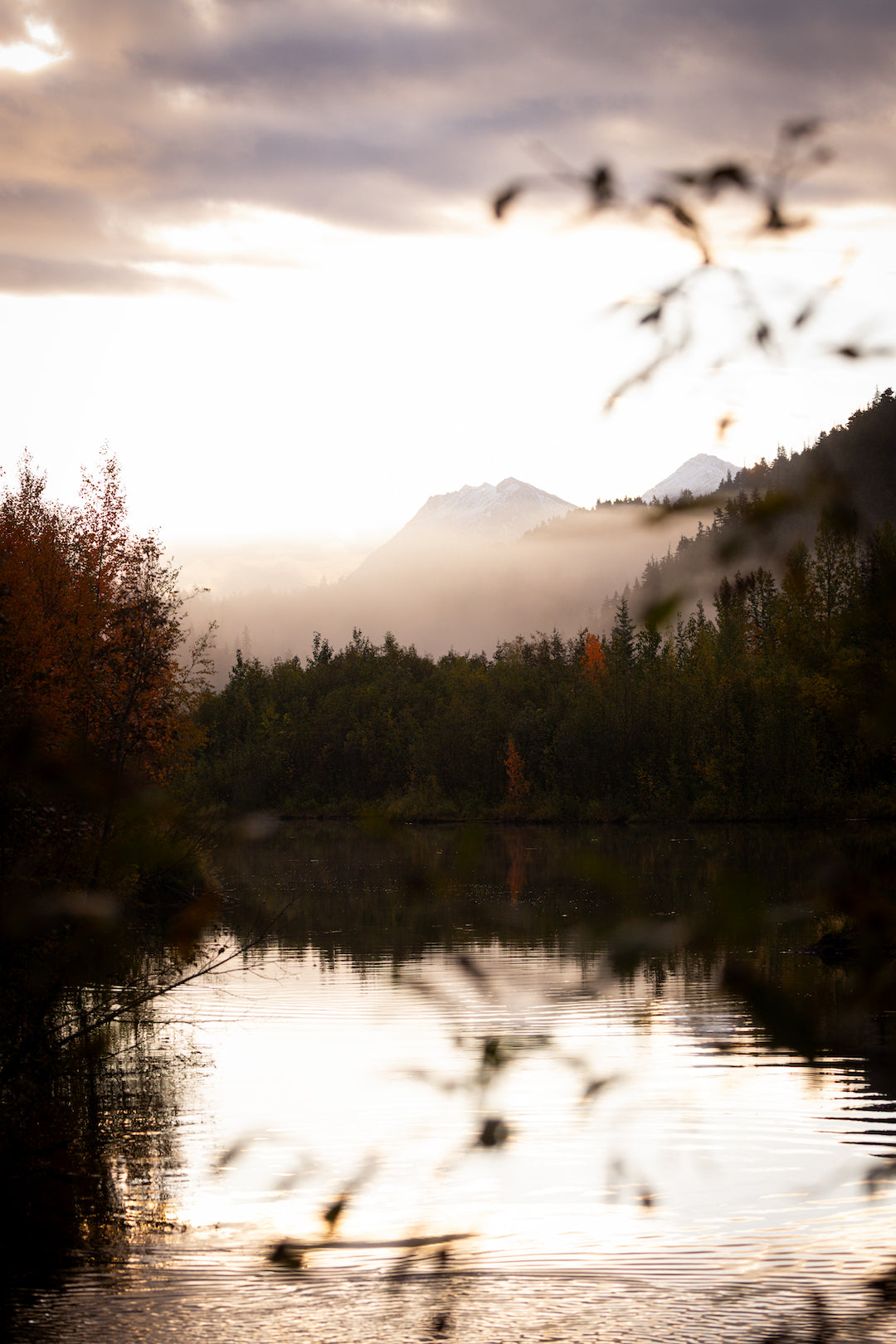 Fine Art Photography