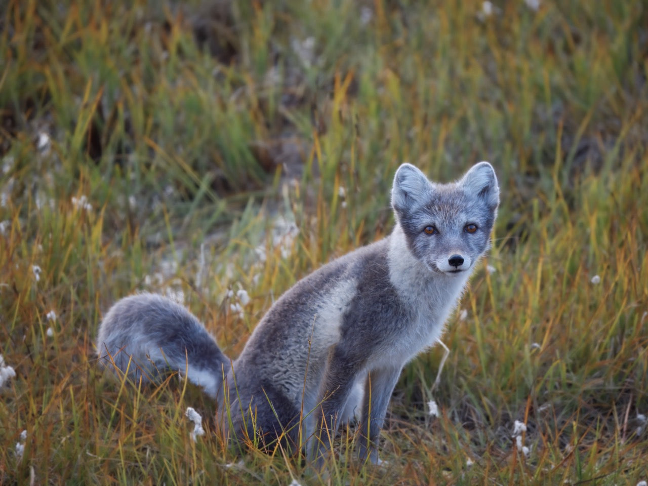 2025 Alaskan Photography Calendar