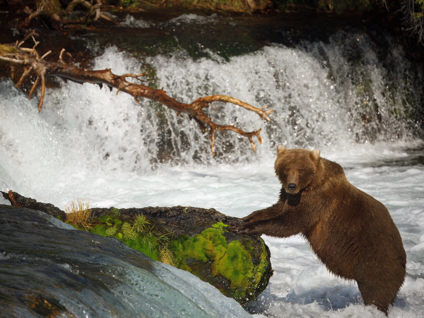 2025 Alaskan Photography Calendar