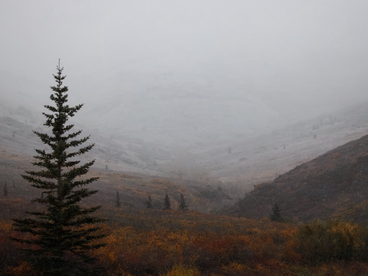 2025 Alaskan Photography Calendar