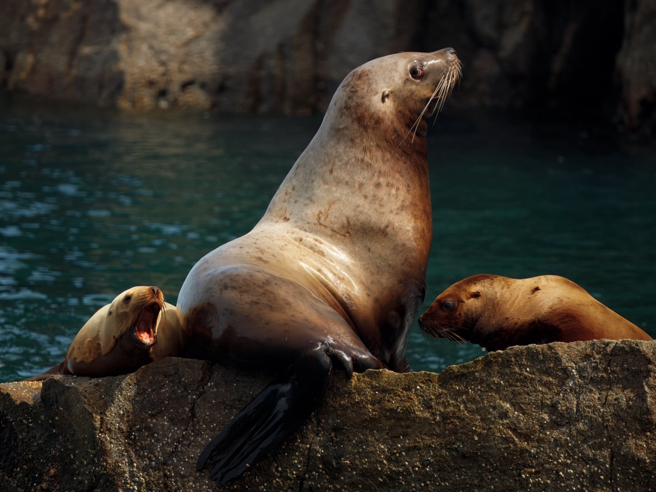 2025 Alaskan Photography Calendar