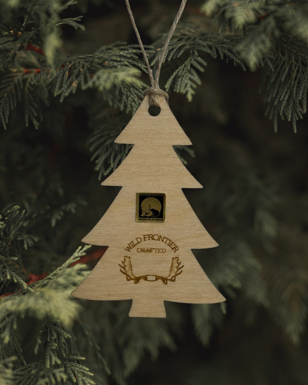 Faith Can Move Mountains Ornament