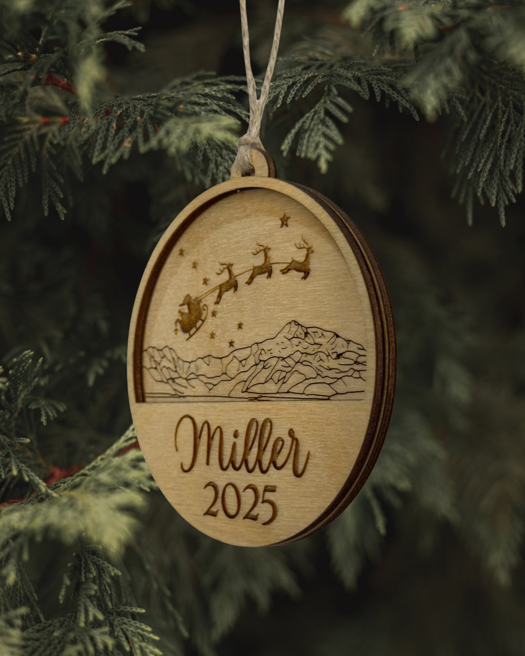 Stars Over Denali Ornament - Personalized