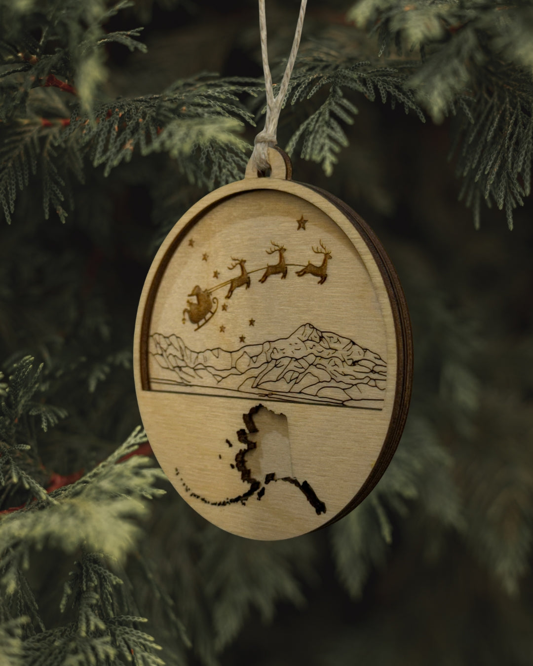 Stars Over Denali Ornament - Alaska Outline