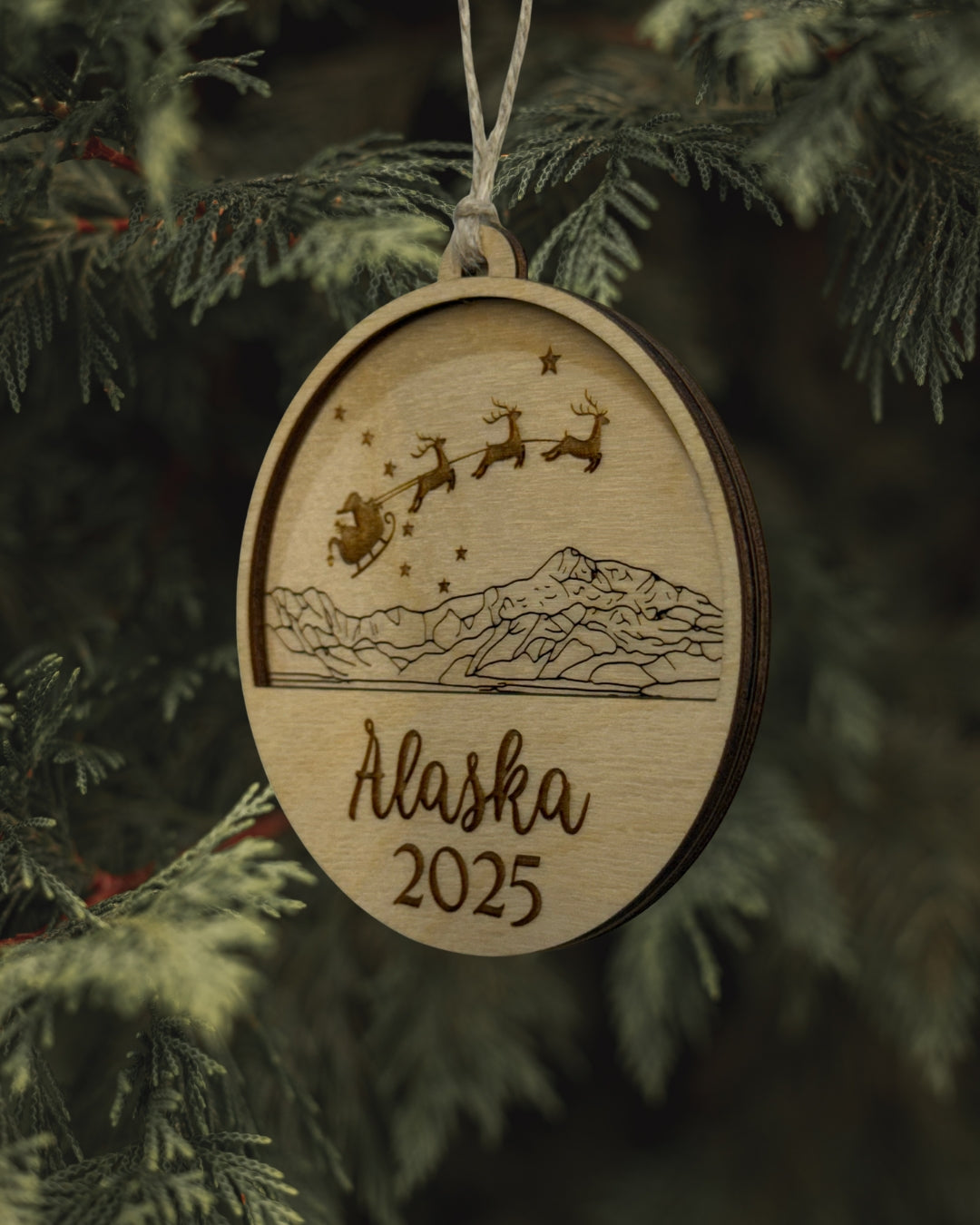 Stars Over Denali Ornament - Alaska 2025