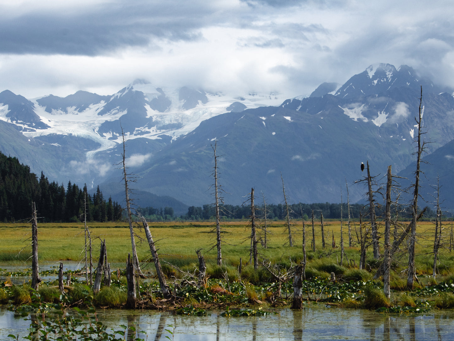 2025 Alaskan Photography Calendar