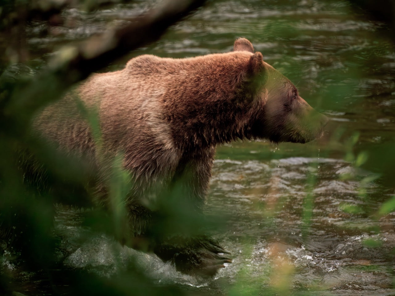 2025 Alaskan Photography Calendar