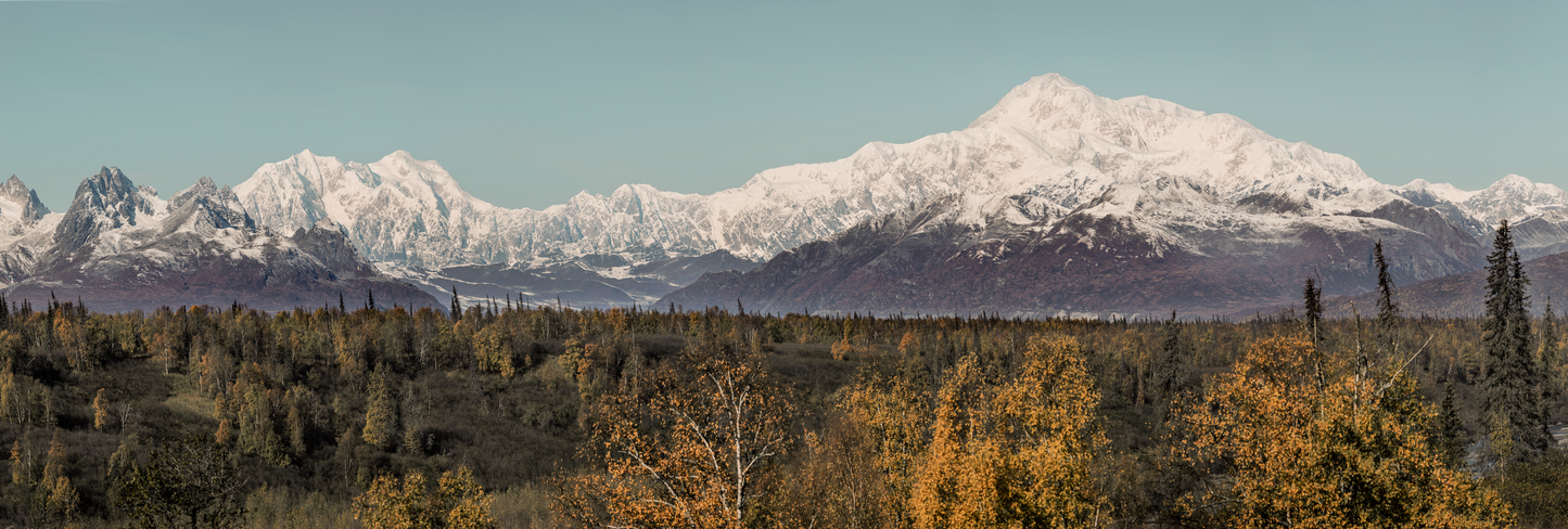 Denali Panorama