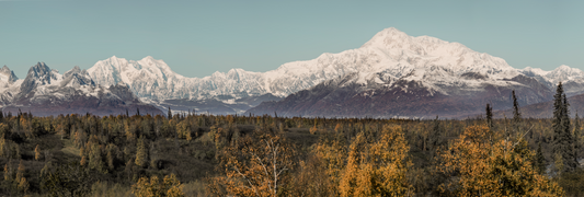 Denali Panorama