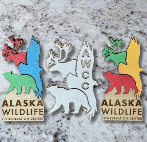 Collecting Memories: Alaskan Souvenirs