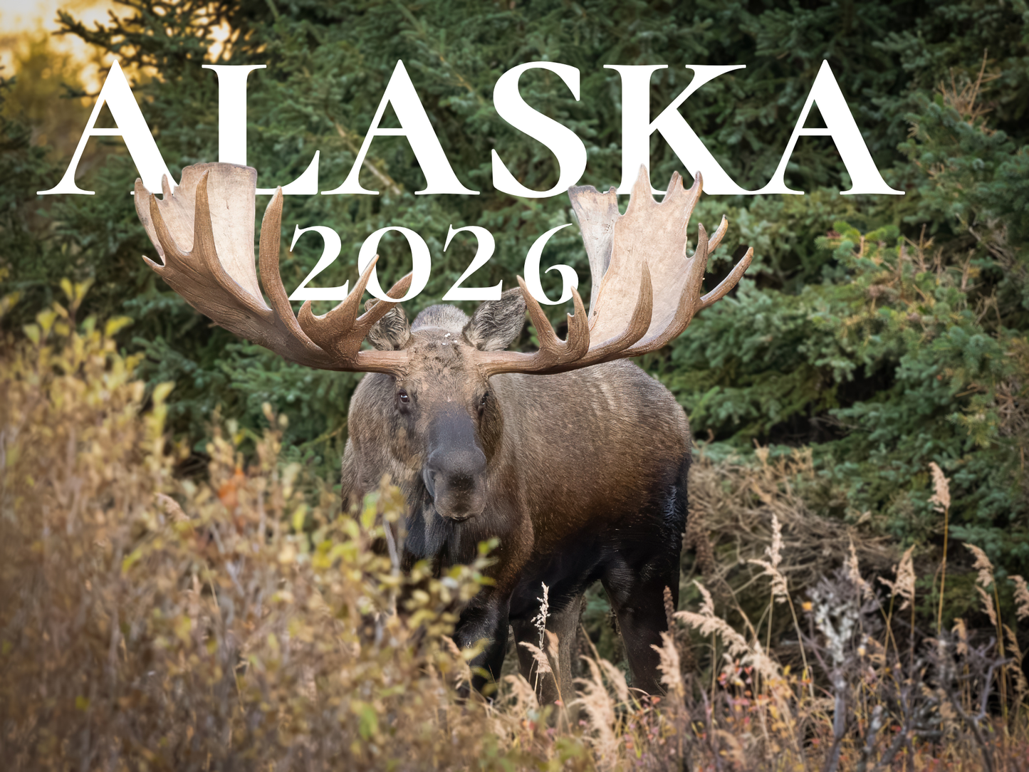 Alaska 2026 Wildlife Calendar