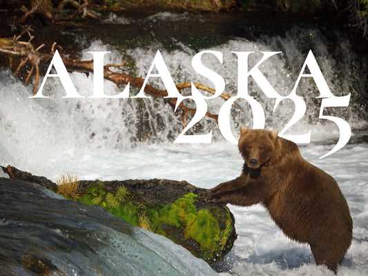 2025 Alaskan Photography Calendar