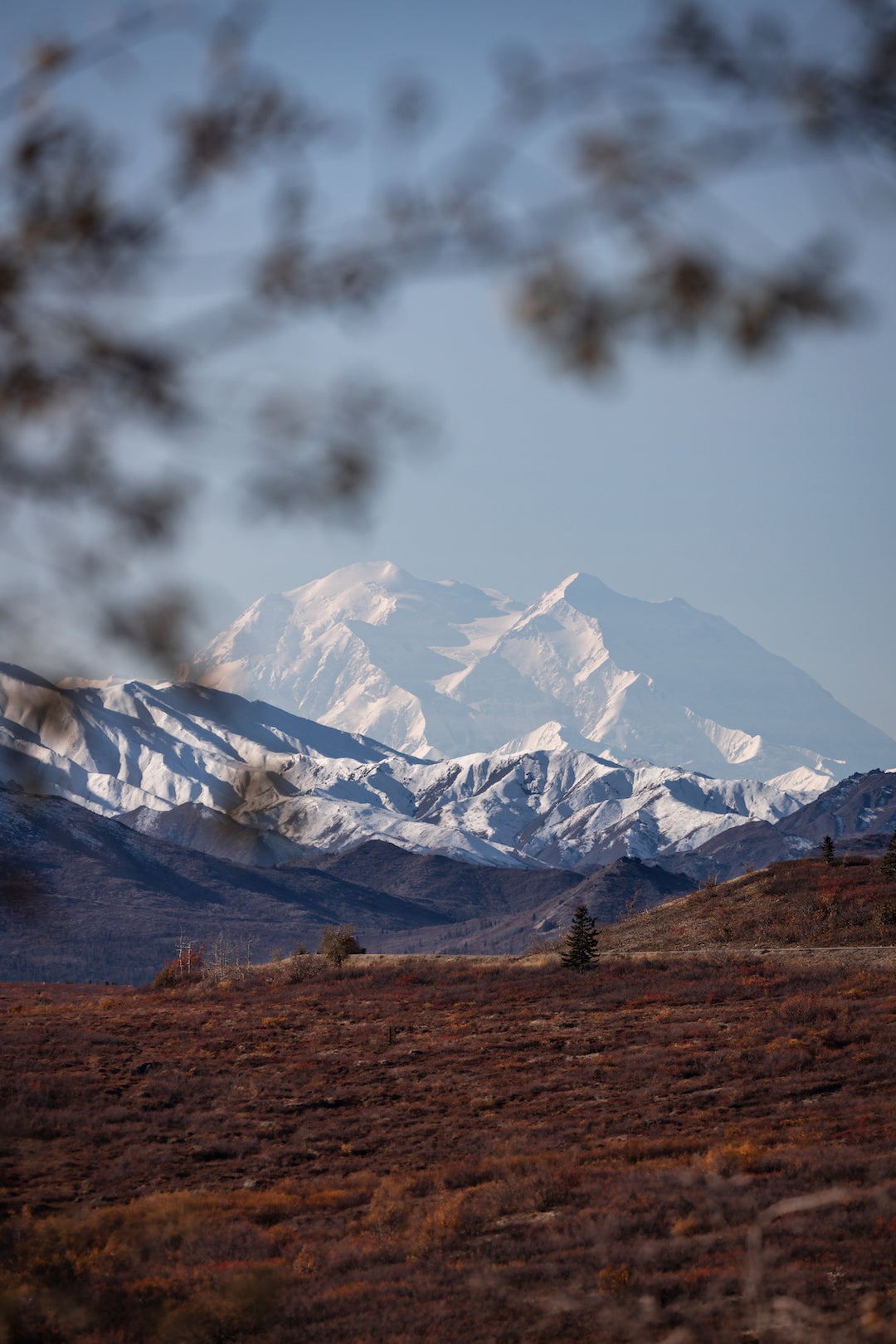 Denali Peek