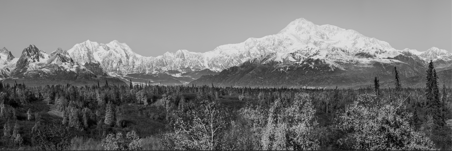 Denali Panorama